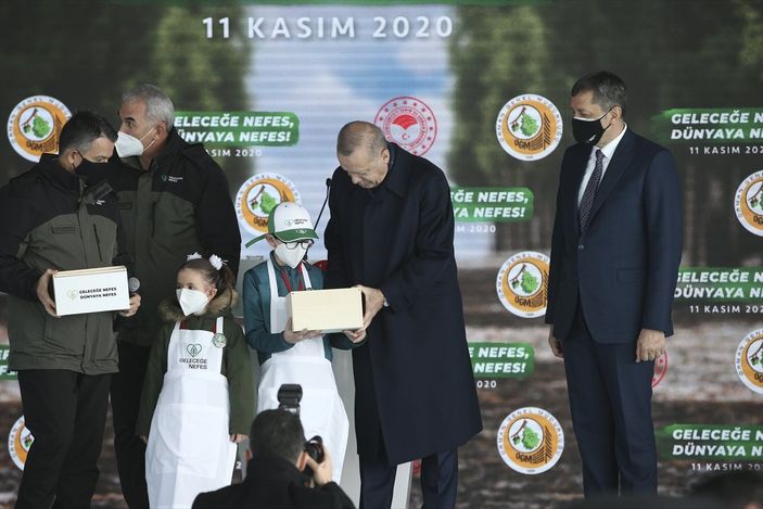 a Cumhurbaşkanı Erdoğan: Gezi'de çevre için sokakları yakanlar, fidan seferberliğimizi kötüledi