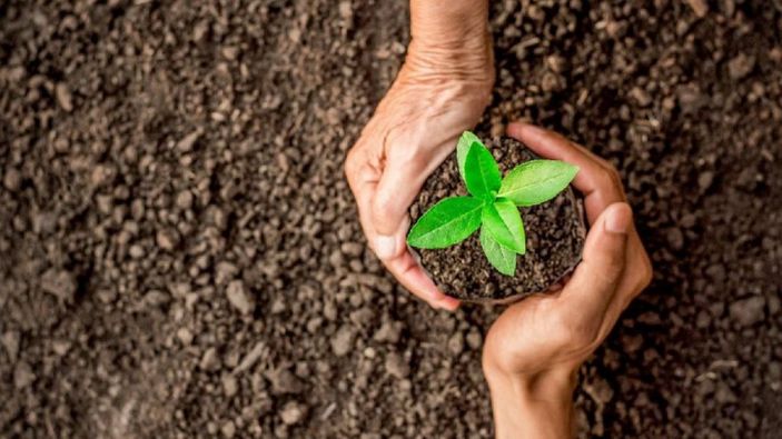 Geleceğe Nefes Ol kampanyasına nasıl başvurulur? Geleceğe Nefes Ol fidan bağışı ve katılım belgesi