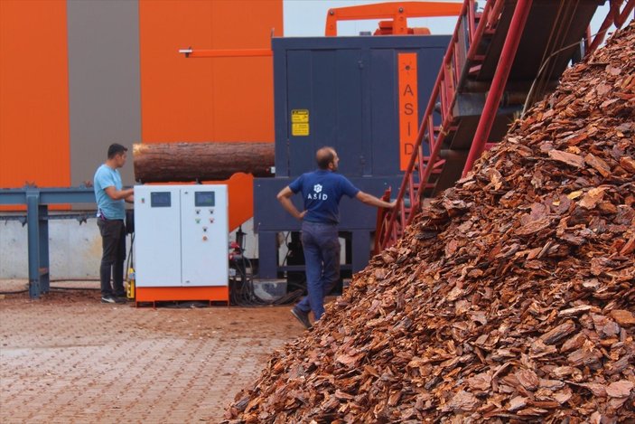 Burdur'da kızılçam ağacının kabuklarını soyan makine üretildi