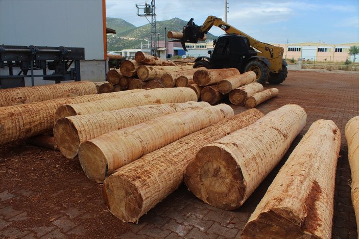 Burdur'da kızılçam ağacının kabuklarını soyan makine üretildi