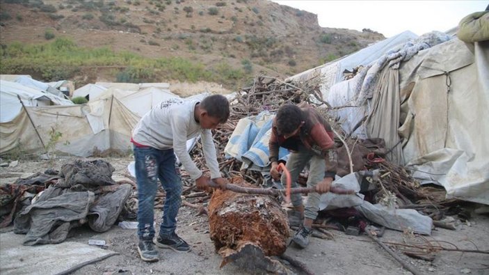 Suriyeli küçük Ahmet, odun kırarak ailesini geçindiriyor
