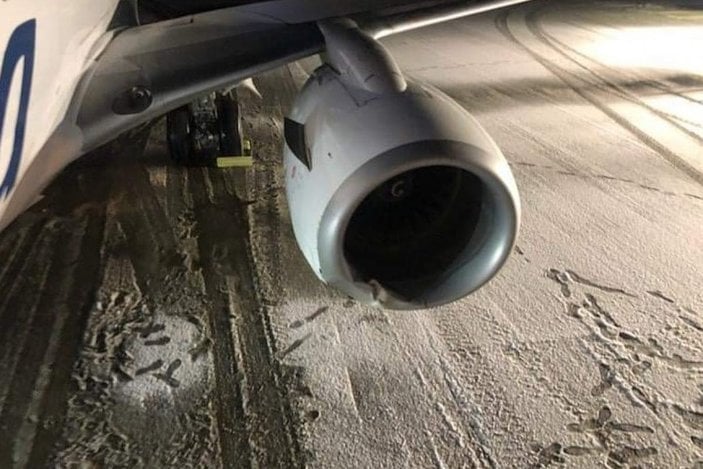Alaska'da yolcu uçağı, inişte boz ayıya çarptı