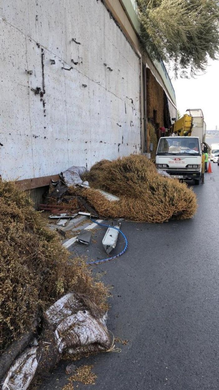 Balıkesir’in ‘dikey bahçe’ talebine İBB’den, ‘stres nedeniyle hayatını kaybettiler’ cevabı