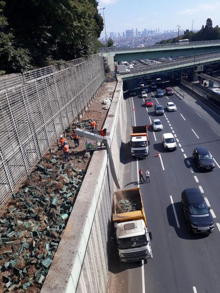 Balıkesir’in ‘dikey bahçe’ talebine İBB’den, ‘stres nedeniyle hayatını kaybettiler’ cevabı