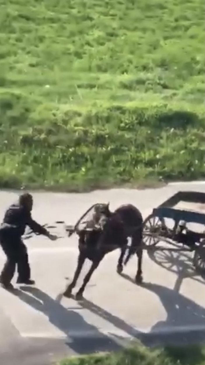 Bursa'da yükü çekemeyen ata kırbaçlı işkence