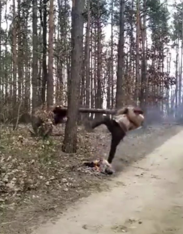 Rusya'da ağacı kırmak isteyen kampçılar yere serildi
