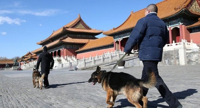 Çin'de 3 kez köpeğini gezdirirken yakalananların köpeği öldürülecek