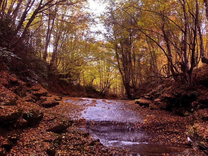 Zonguldak'taki tarihi su hattında sonbahar güzelliği