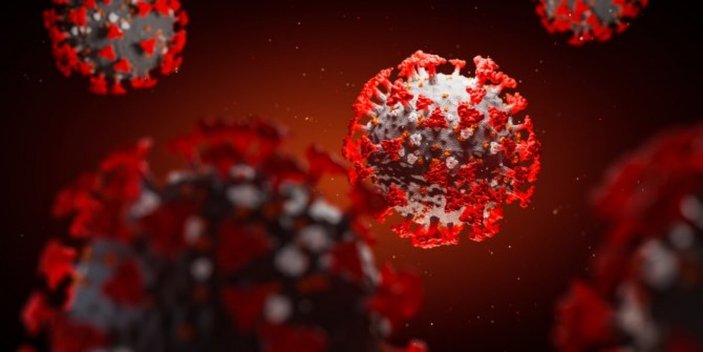 Koronavirüs riski en yüksek kan grubu hangisi? Koronavirüsü en hafif atlatan kan grubu hangisi?