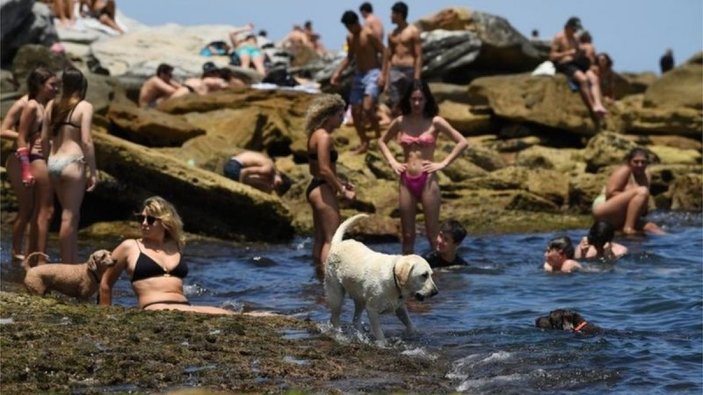 Sidney'de sıcaklık rekoru kırıldı