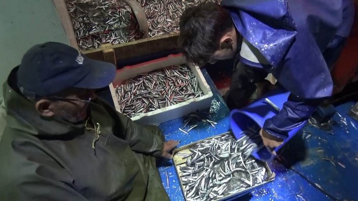Karadeniz'e açılan balıkçıların yüzü hamsi ile güldü