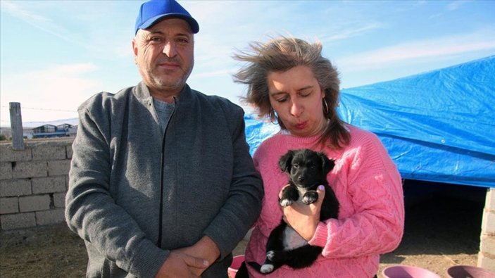 Sivas'ta evli çift, sokak hayvanları için bahçeli ev kiraladı