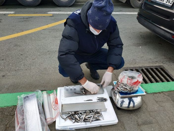 i Rize'de 10 ton hamsiye el konuldu