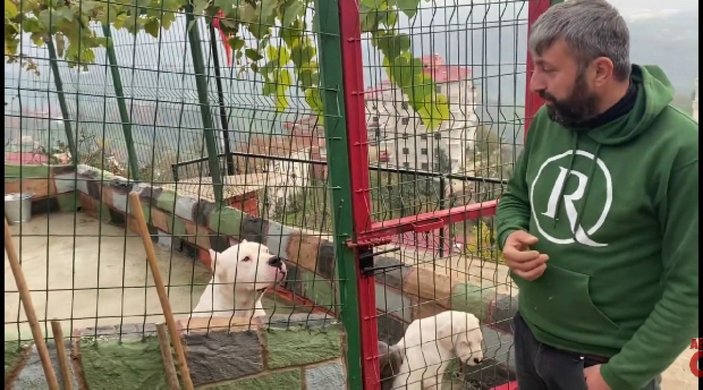 YouTuber Recep Bayraktar'ın köpeklerine el konuldu