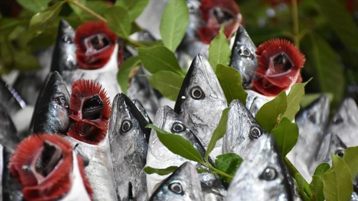 Doğu Karadeniz'den su ürünleri ihracatı arttı