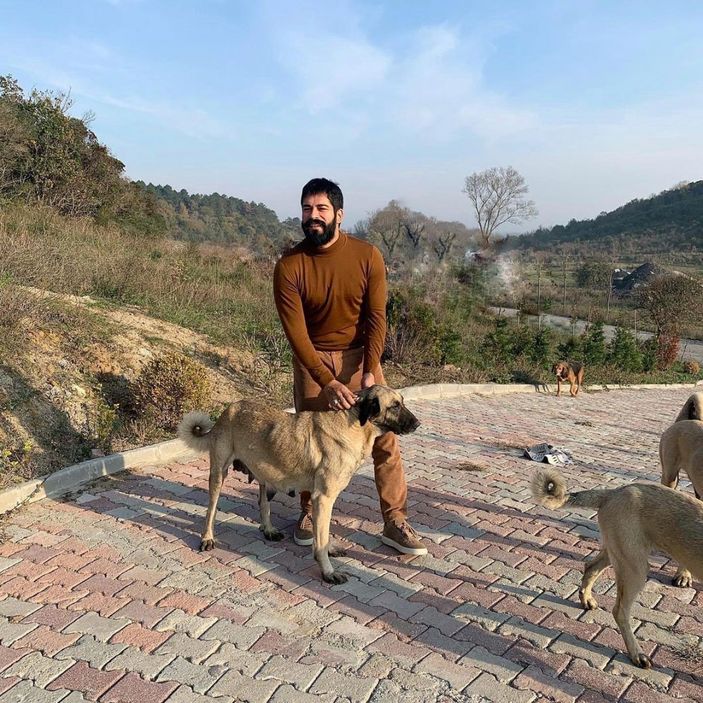 Burak Özçivit, sokak köpeklerini unutmadı