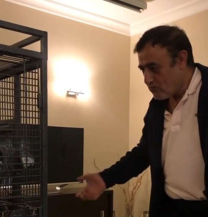 Mahmut Tuncer papağanı ile halay çekti