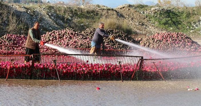 i Turpun hasadı başladı