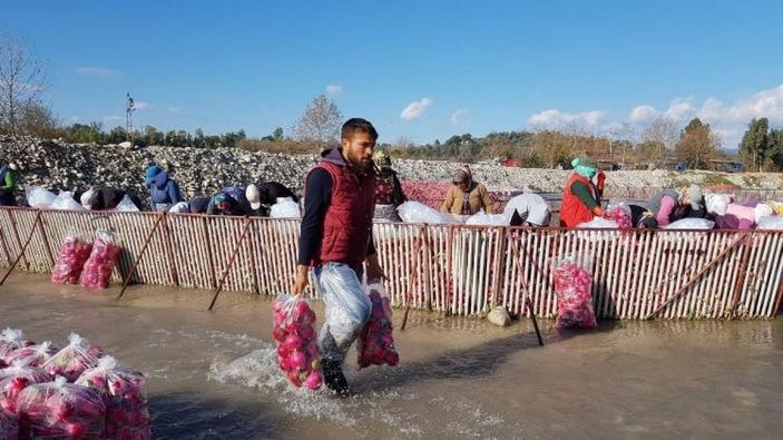 i Turpun hasadı başladı