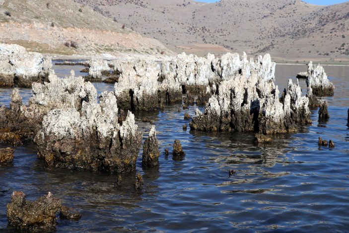 Van Gölü çekilince dünyanın en büyük mikrobiyalitleri gün yüzüne çıktı