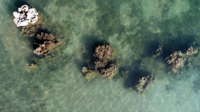 Van Gölü çekilince dünyanın en büyük mikrobiyalitleri gün yüzüne çıktı