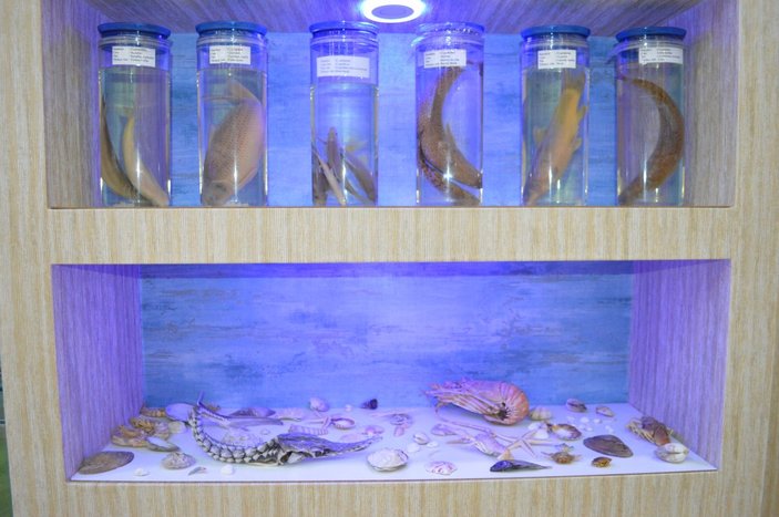 Elazığ'daki Balık Müzesi ilgi çekiyor