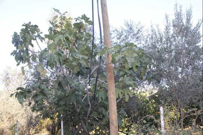 İ Zonguldak'ta kabloları çalan hırsızlar 20 köyü internetsiz bıraktı