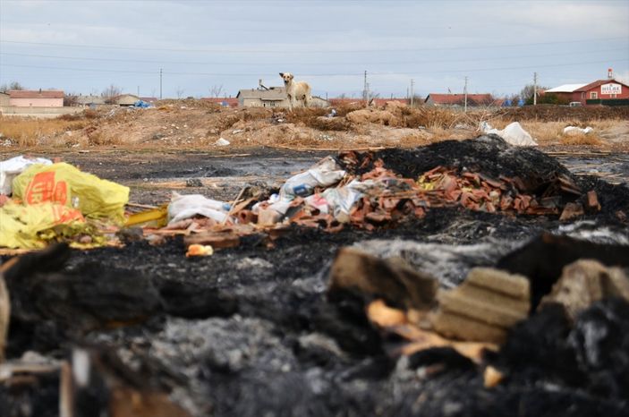 Konya köpek yangın