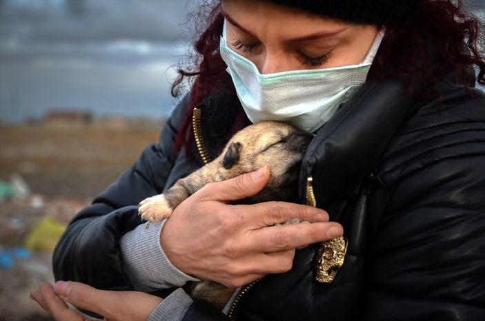Konya köpek yangın