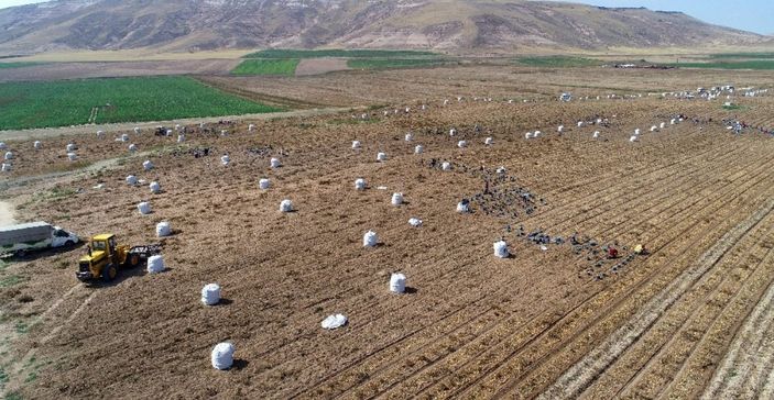Arazilerde toplulaştırma sürüyor