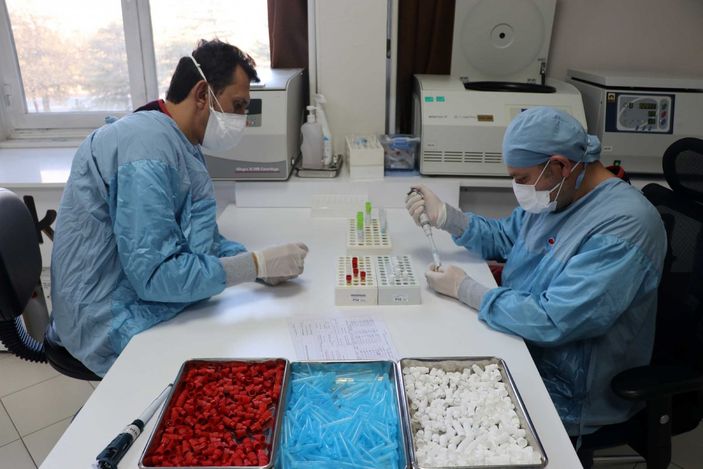 Yerli aşıda Faz-1 çalışmaları tamamlandı