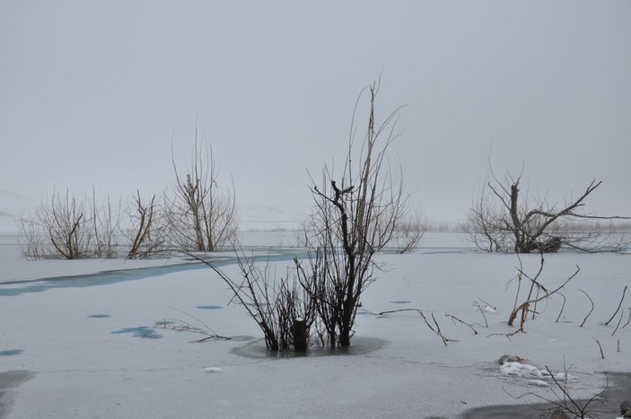Kars’ın soğuğu barajı dondurdu