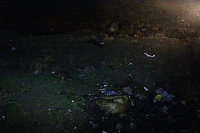 Ankara'da 6 köpek zehirlenmiş halde bulundu