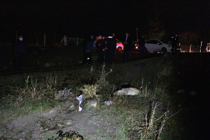 Ankara'da 6 köpek zehirlenmiş halde bulundu