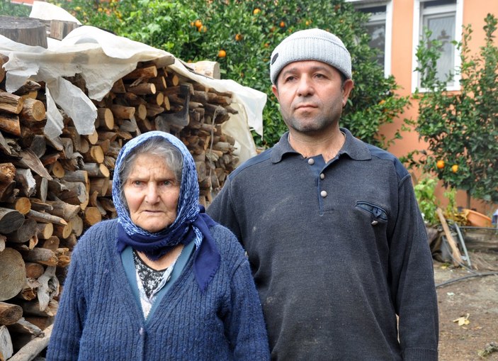 Antalya'da cinsel saldırıya uğrayan buzağı ve annesine Haluk Levent sahip çıktı