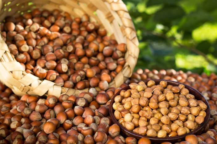 d Şekersiz fındık ezmesi üretildi