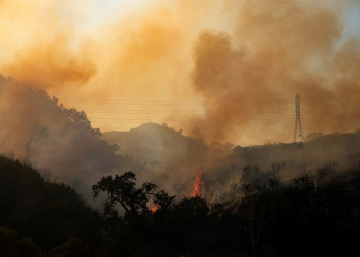 Orman yangınları, bulaşıcı hastalıkların yayılmasını kolaylaştırıyor