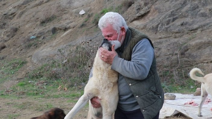 Samsun'da sokak hayvanlarını tedavi etmek isteyen Fevzi Uyar, 71 yaşında veteriner oldu