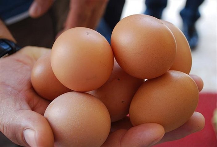 Yumurtanın fiyatı, tavuğu solladı: Kolisi 34 lira