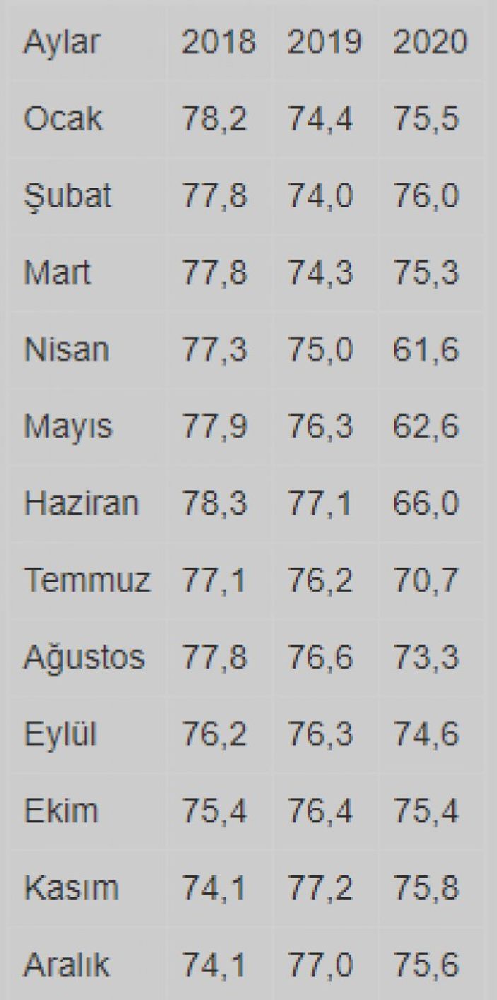 aa Kapasite Kullanım Oranı açıklandı