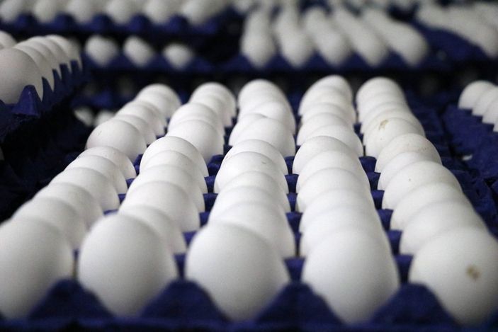 Yumurta fiyatları arttı