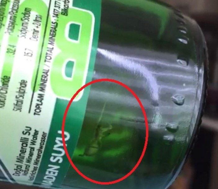 İstanbul'da vatandaş, maden suyu şişesinde örümceğe rastladı
