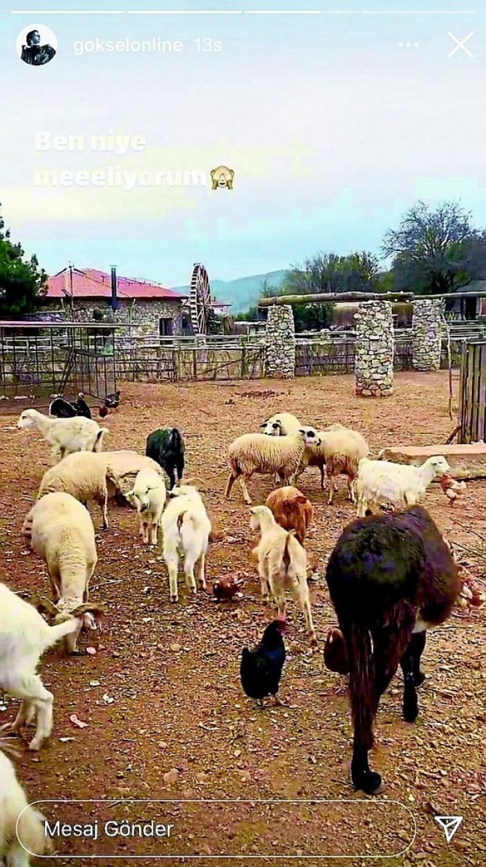 Göksel: Burası şifalı bir yer