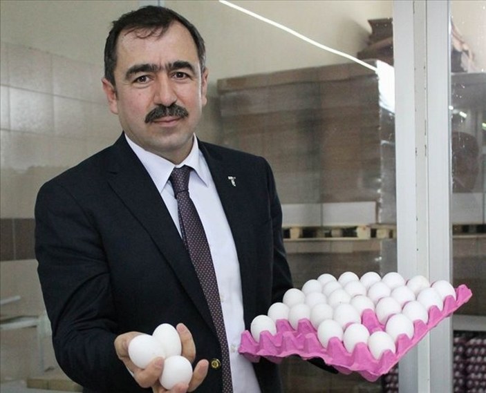 Türkiye Yumurta Üreticileri Birliği: Yumurtacı 17 ay zarar etti