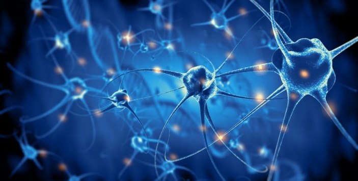 Melatonin nedir, ne işe yarar? Melatonin hapı koronavirüsü engeller mi?