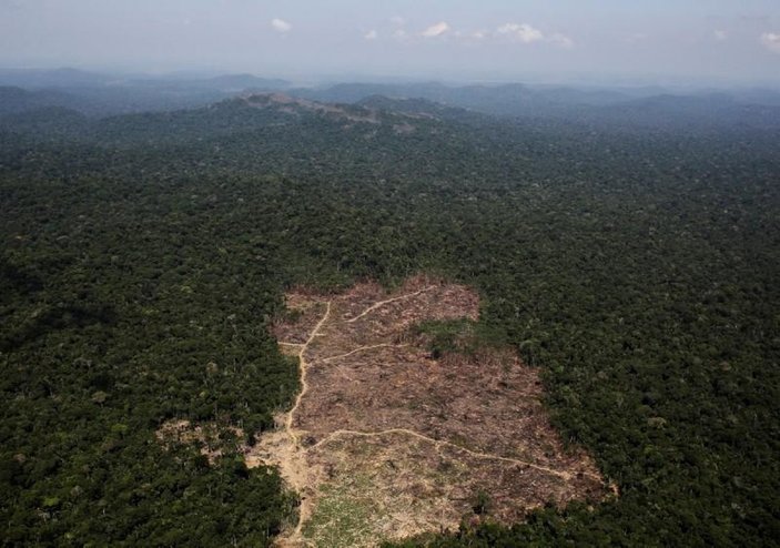 Amazon yağmur ormanları için 2064 uyarısı