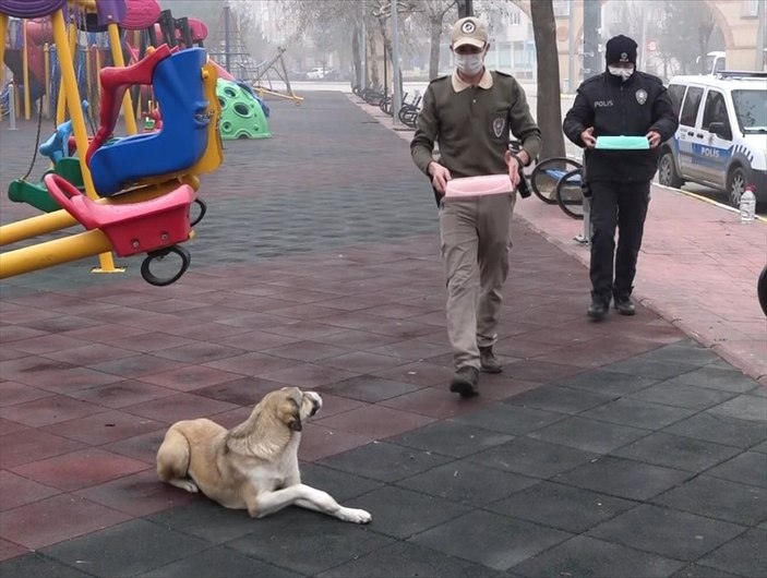 Isparta'da polisler sokak hayvanlarını besledi