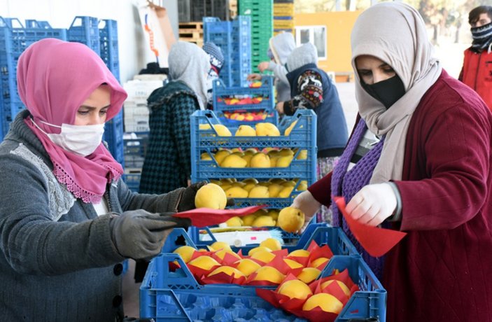 İnegöl'de 20 bin top meyve soğuk hava deposuna emanet