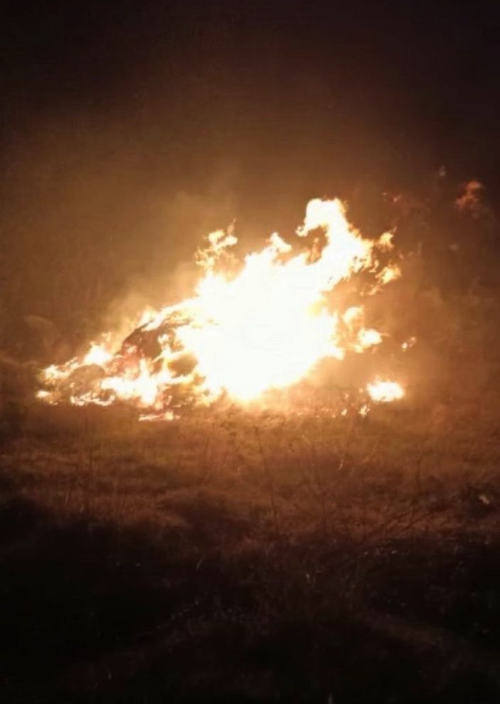 Adil Öksüz'ün çanta gömdüğü iddia edilen ormanda yangın çıktı