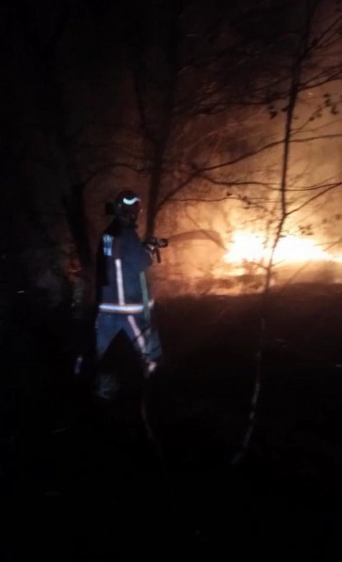 Adil Öksüz'ün çanta gömdüğü iddia edilen ormanda yangın çıktı